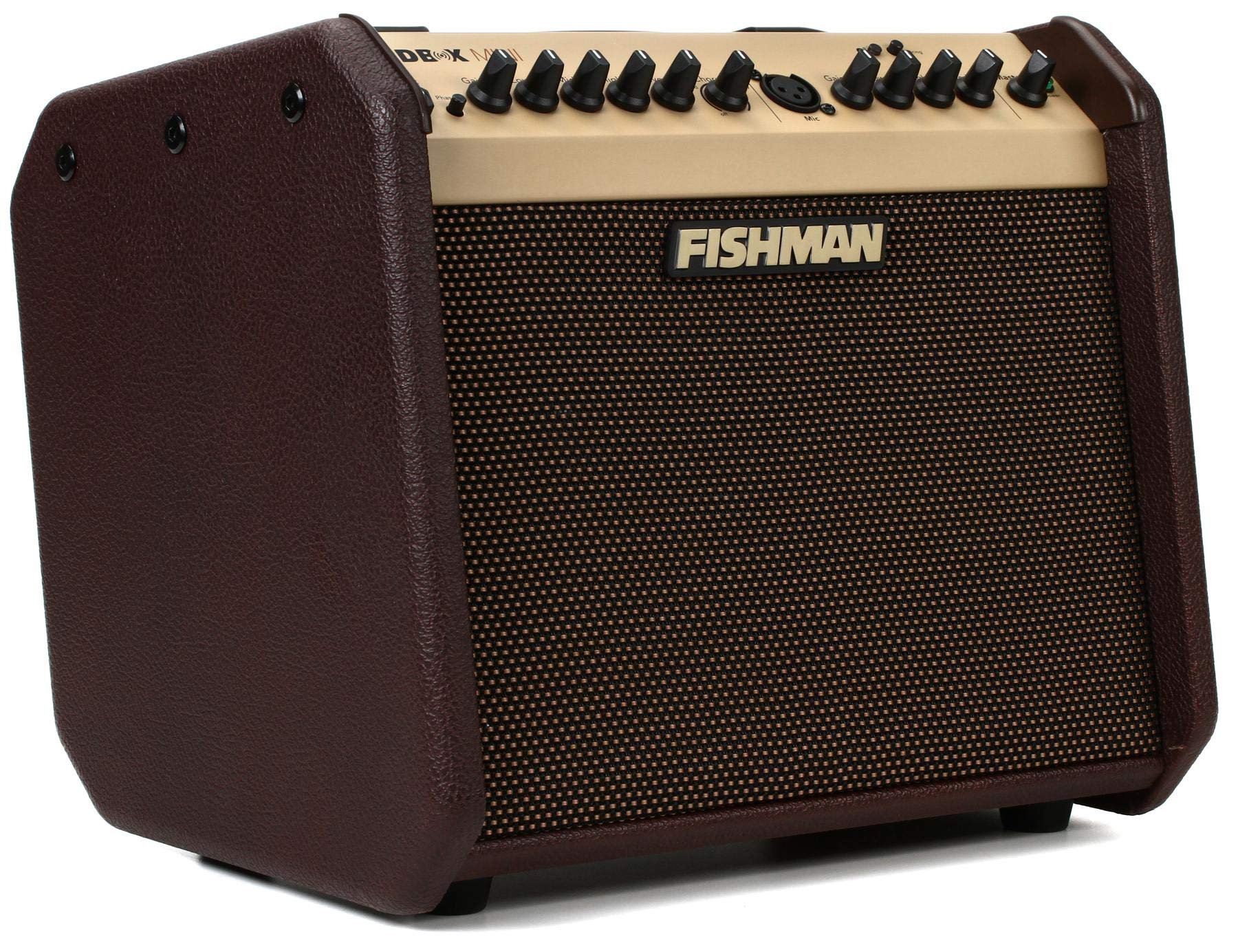 Fishman Loudbox Mini BT 60와트 1x6.5인치 어쿠스틱 콤보...
