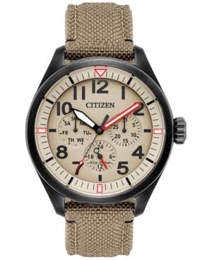 Citizen Watch Company 
