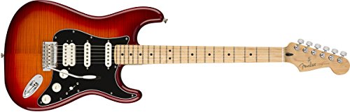 Fender Stratocaster 일렉트릭 기타