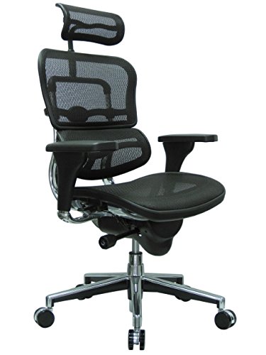 Ergohuman 메쉬 의자 - 18.1A 22.9'' 좌석 높이 - 머리 받침대가 있는 등받이 의자 - 버건디