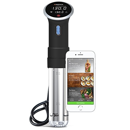 Anova Culinary Sous Vide 정밀 쿠커 | WiFi + 블루투스 | 900W (판매 중단)