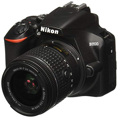 Nikon D3500 W/ AF-P DX NIKKOR 18-55mm f/3.5-5.6G VR 블랙