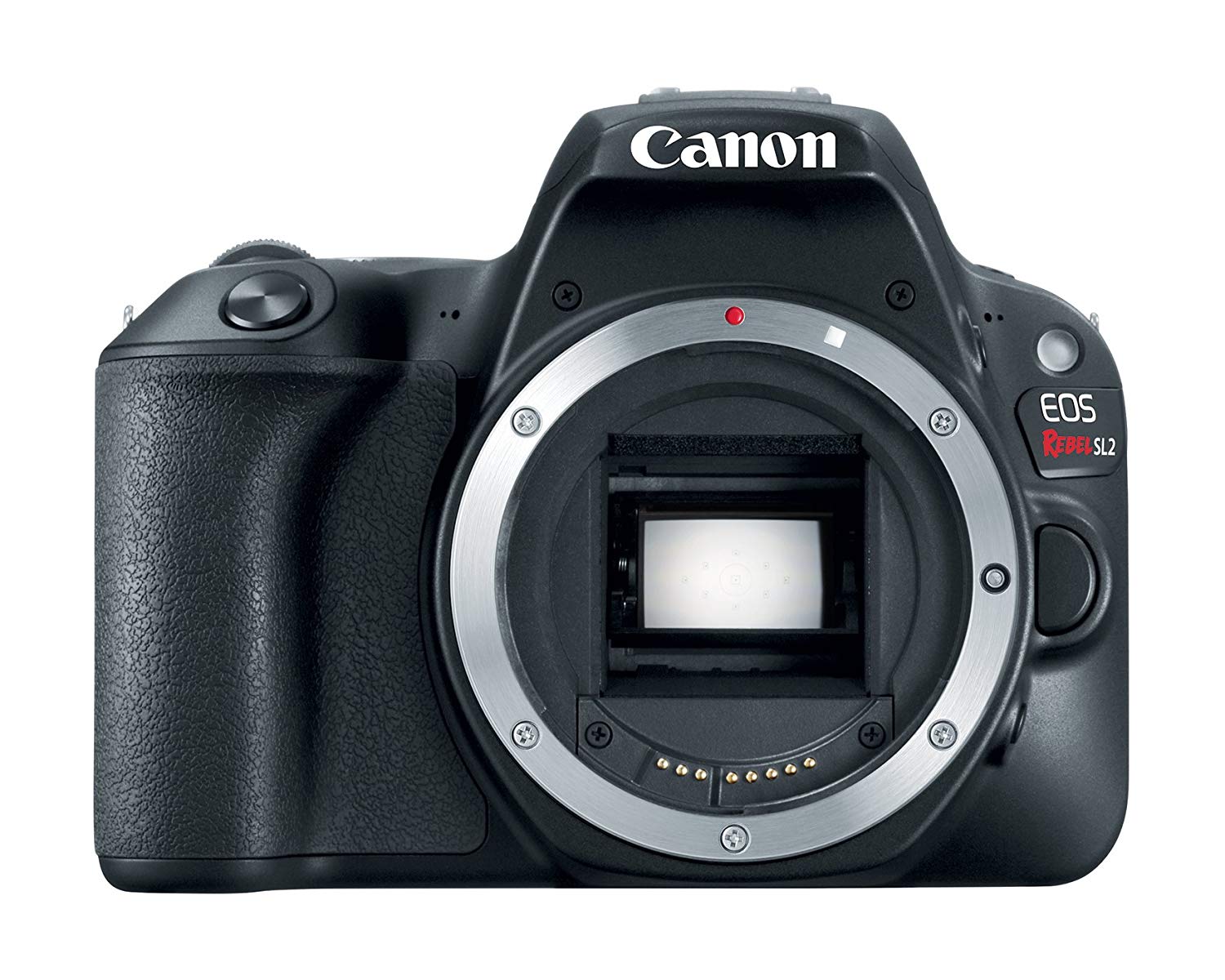 Canon EOS Rebel SL2 디지털 SLR 카메라 바디-WiFi 지원...