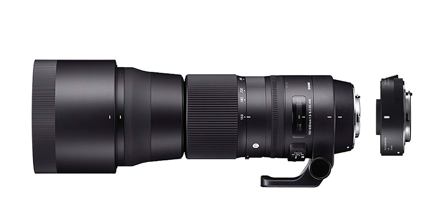 SIGMA Canon 용 150-600mm f / 5-6.3 DG OS HSM 컨템포러리 렌즈 (95mm)